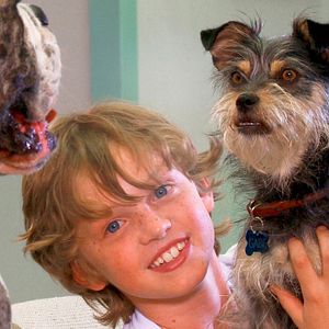 Bilder Amor auf vier Pfoten