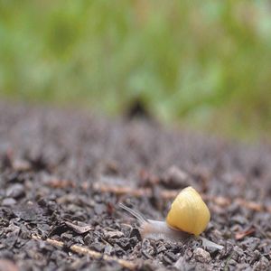 Bilder Slow - Langsam ist das neue Schnell