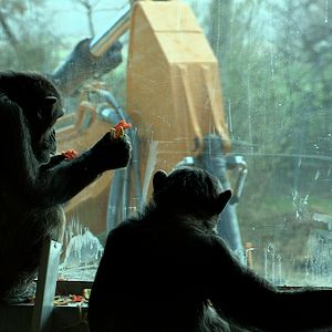 Bilder Unter Menschen