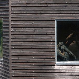 Bilder Unter Menschen