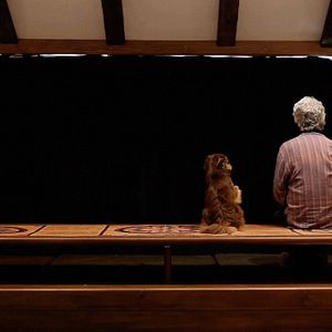 Bilder Closed Curtain