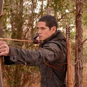 Bilder Revolution (2012)