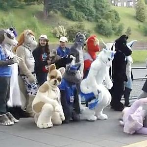 Bilder We Are Northern Lights