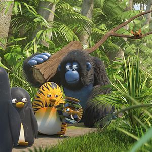 Bilder Die Dschungelhelden - Operation: Südpol