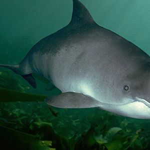 Bilder Die Nordsee - Unser Meer