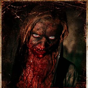 Bilder Cabin of the Dead