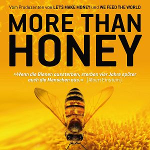 Bilder More than Honey