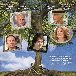 Bilder Ein letzter Sommer - Harvest