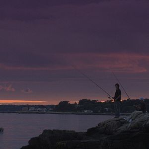 Bilder Ein letzter Sommer - Harvest