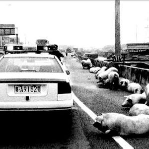 Bilder Xianshi Shi Guoqu De Weilai