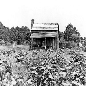 Bilder BB King: The Life Of Riley