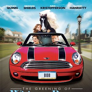 Bilder Glamour Girl im Pferdestall