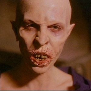 Bilder Geschichten aus der Gruft