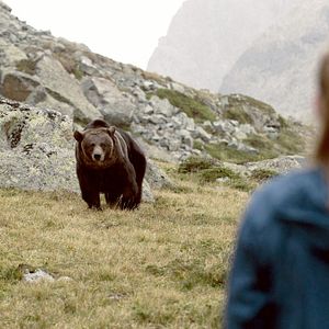 Bilder Clara und das Geheimnis der Bären