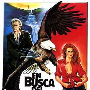 Bilder Die Brut des Adlers