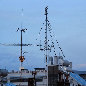 Bilder Hasret - Desire