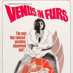 Bilder Venus in Furs