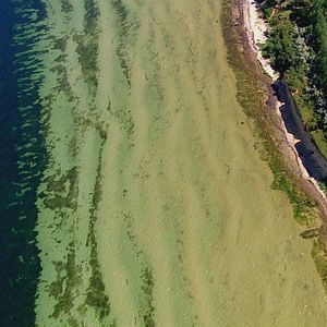 Bilder Die Ostsee von oben