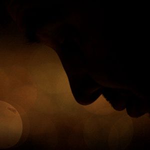 Bilder Carne De Perro