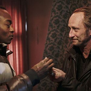 Bilder Les Rayures du zèbre