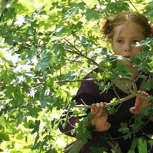 Bilder Der Fuchs und das Mädchen