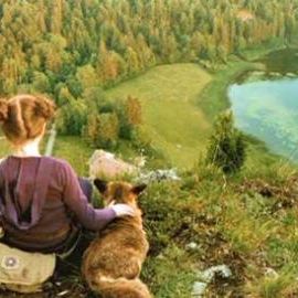 Bilder Der Fuchs und das Mädchen