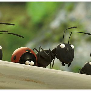 Bilder Die Winzlinge - Operation Zuckerdose