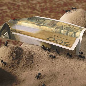 Bilder Die Winzlinge - Operation Zuckerdose