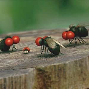 Bilder Die Winzlinge - Operation Zuckerdose