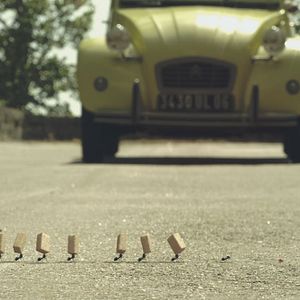 Bilder Die Winzlinge - Operation Zuckerdose