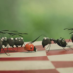 Bilder Die Winzlinge - Operation Zuckerdose