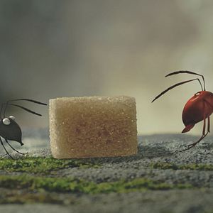 Bilder Die Winzlinge - Operation Zuckerdose