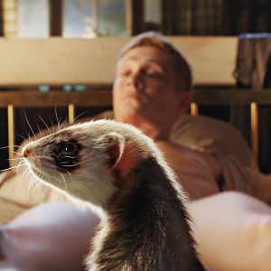 Bilder Matthias Schweighöfer