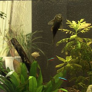 Bilder Alles was wir wollen