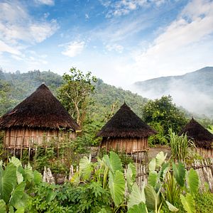 Bilder Papua 3D - Die geheimnisvolle Insel der Kannibalen