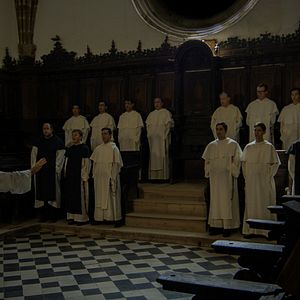 Bilder Bajo un manto de estrellas