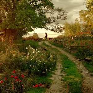 Bilder Die Schöne und das Biest