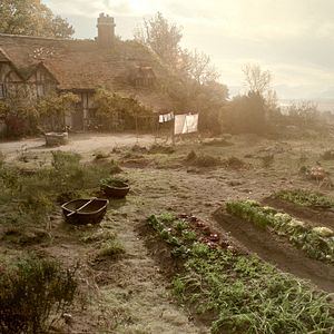 Bilder Die Schöne und das Biest