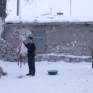 Bilder Harmony Lessons