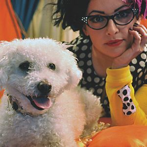 Bilder Doggie Boogie - Disco-Fieber auf vier Pfoten