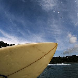 Bilder Into the Mind