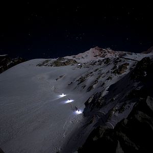 Bilder Into the Mind