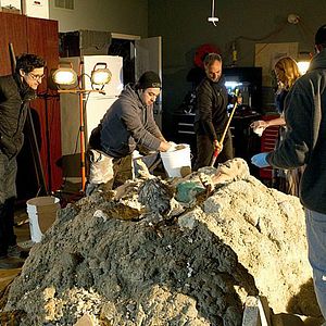 Bilder CSI: Den Tätern auf der Spur