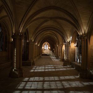 Bilder Vampire Academy