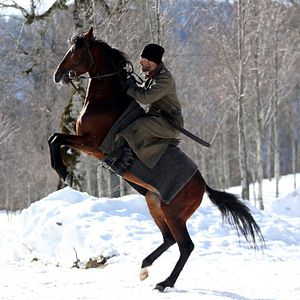 Bilder Kurt Seyit ve Şura