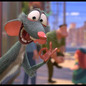 Bilder Operation Nussknacker