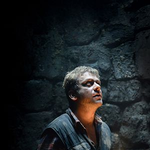 Bilder Je te survivrai