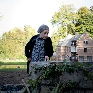 Bilder Je te survivrai