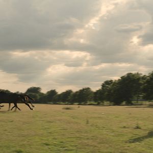 Bilder The Good Life