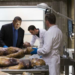 Bilder Laurence Fishburne